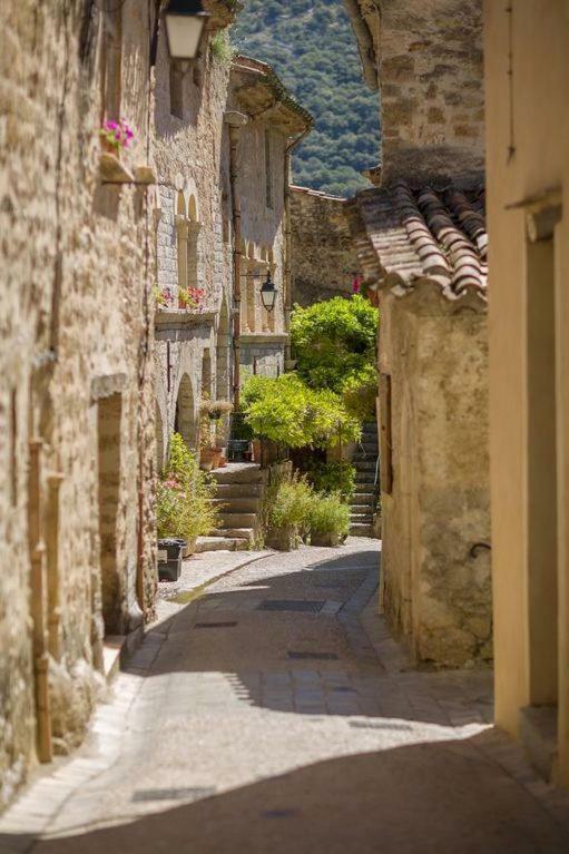 Charmante Maison A Saint Guilhem Le Desert Ngoại thất bức ảnh